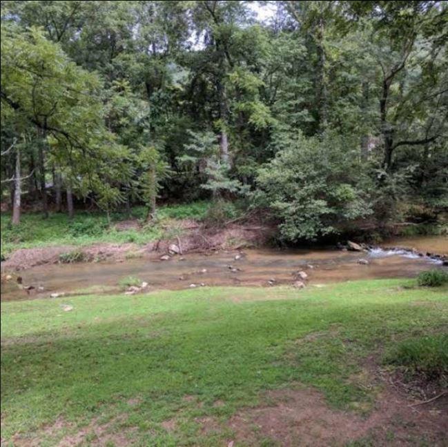 Reedy Patch Cabin Villa Hendersonville Esterno foto